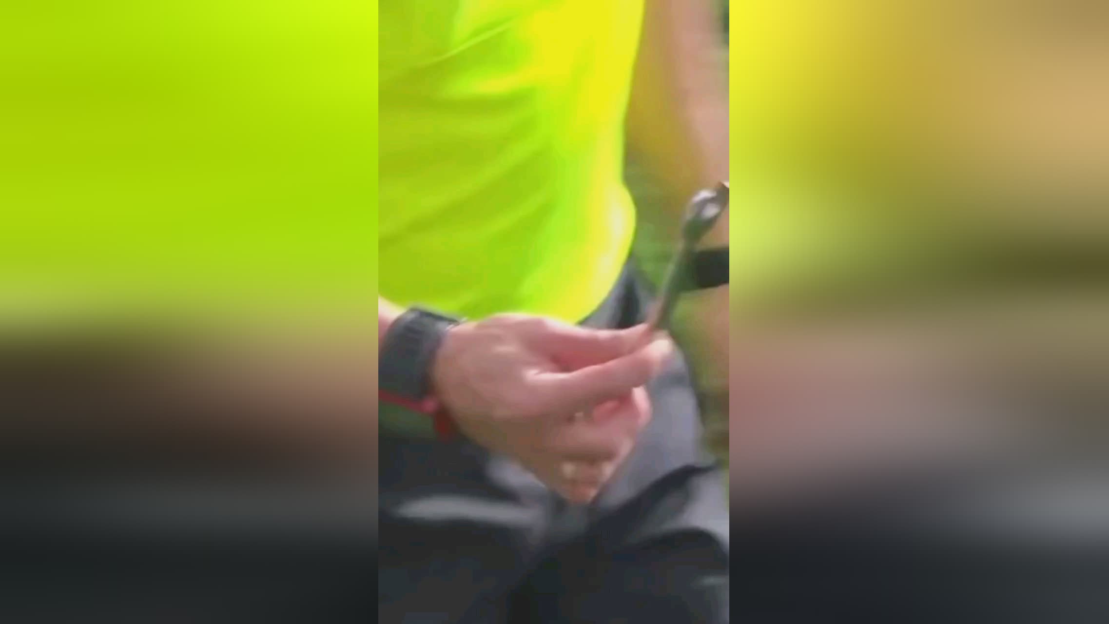 典型的案例
